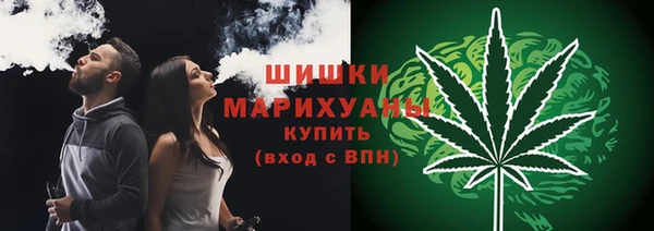 a pvp Бородино