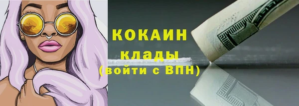a pvp Бородино