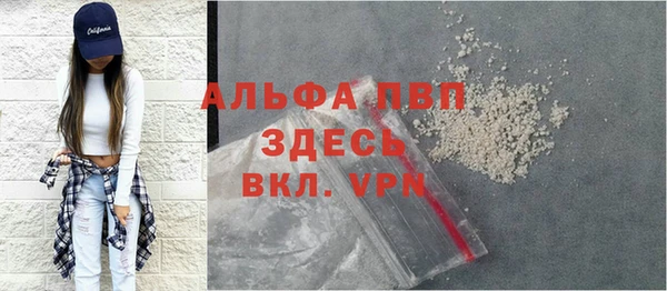 a pvp Бородино