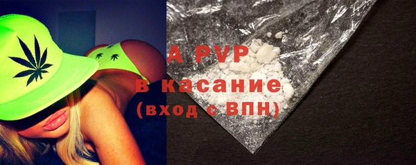 a pvp Бородино
