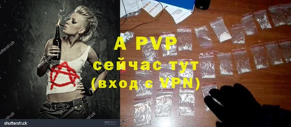 a pvp Бородино