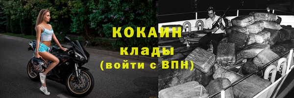 a pvp Бородино