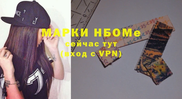 a pvp Бородино