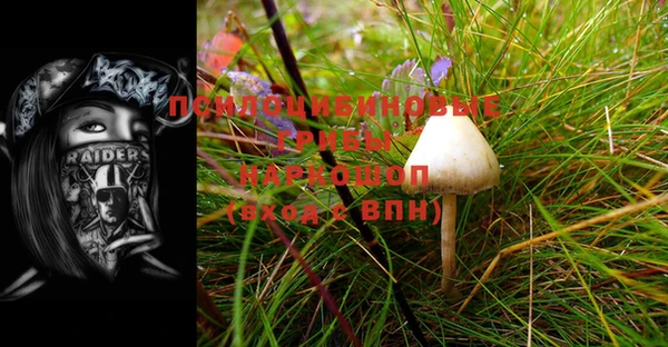 a pvp Бородино