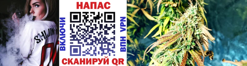 Марихуана план  Балей 